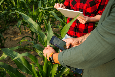 agriculture-2023-11-27-04-50-05-utc