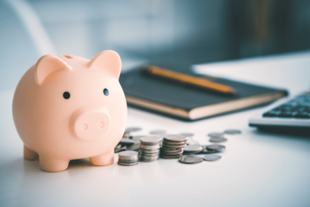 pig-bank-and-money-2023-11-27-04-52-58-utc